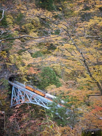 トロッコ鉄道