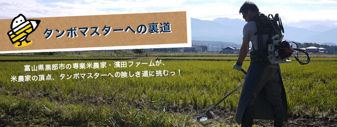 タンボマスターへの裏道 濱田ファームブログ