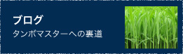 濱田ファームブログ　タンボマスターへの裏道