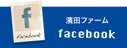 濱田ファーム　facebookページ