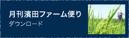 月刊　濱田ファーム便り