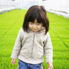 濱田ファーム coco