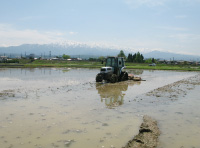 田植えの準備