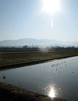 冬の間田んぼに水をためておく冬季湛