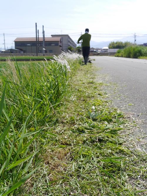 スパイダーなモアがやってきた 投稿 無農薬米 減農薬米 富山のお米 農家 濱田ファーム タンボマスターへの道